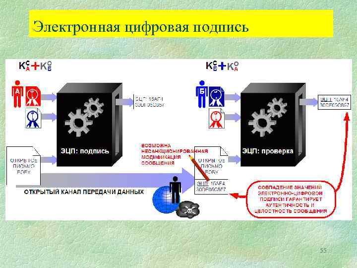 Электронная цифровая подпись 55 