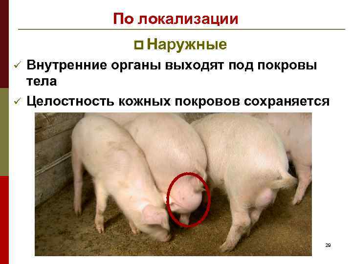 По локализации p Наружные ü ü Внутренние органы выходят под покровы тела Целостность кожных