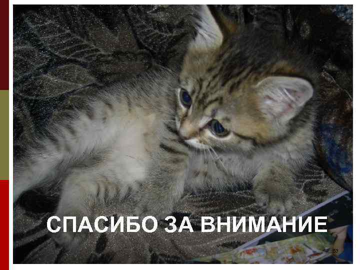 СПАСИБО ЗА ВНИМАНИЕ 53 