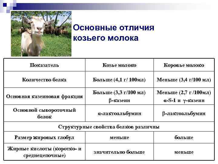Основные отличия козьего молока Показатель Козье молоко Коровье молоко Количество белка Больше (4, 1