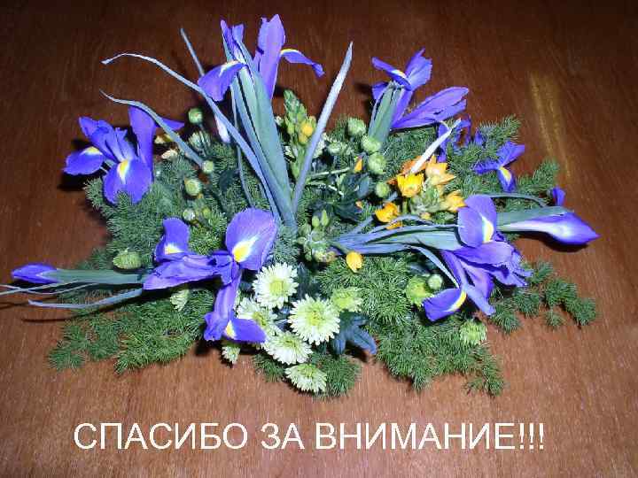 СПАСИБО ЗА ВНИМАНИЕ!!! 