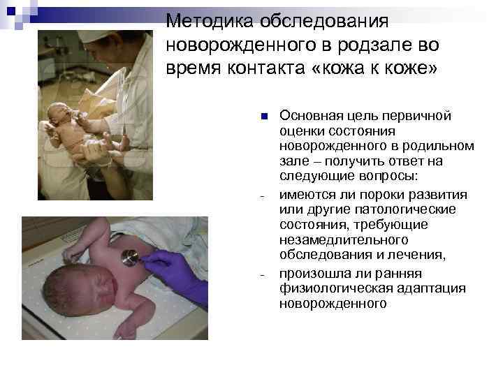 Методика обследования новорожденного в родзале во время контакта «кожа к коже» n - -
