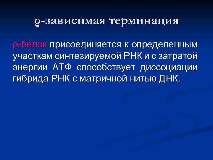 ρ-зависимая терминация ρ-белок присоединяется к определенным участкам синтезируемой РНК и с затратой энергии АТФ