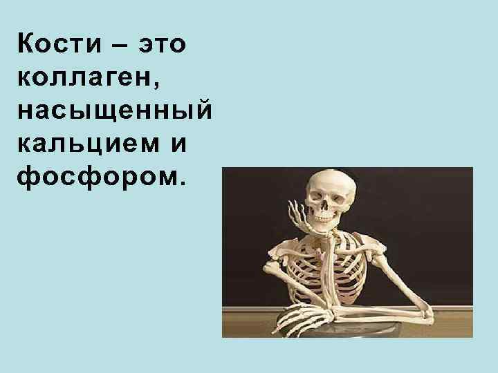 Кости – это коллаген, насыщенный кальцием и фосфором. 