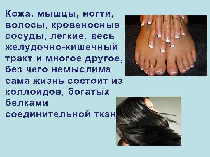 Кожа, мышцы, ногти, волосы, кровеносные сосуды, легкие, весь желудочно-кишечный тракт и многое другое, без