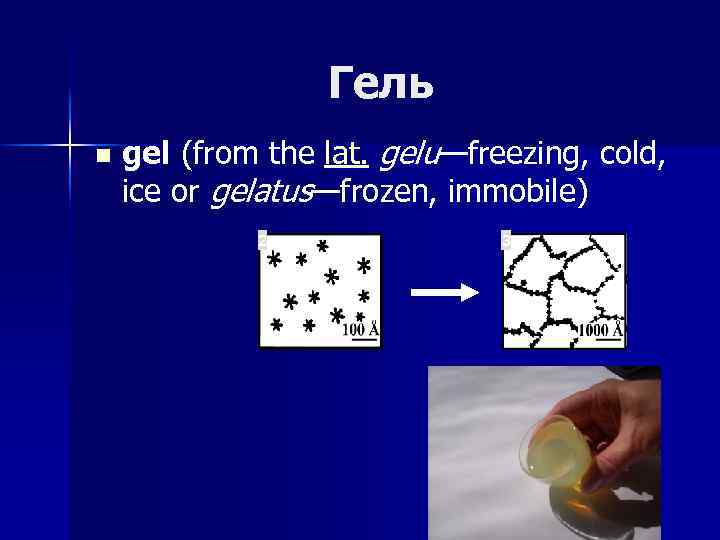 Гель n gel (from the lat. gelu—freezing, cold, ice or gelatus—frozen, immobile) 2 3