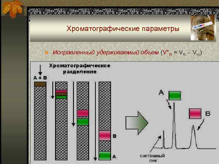 Хроматографические параметры n Исправленный удерживаемый объем (V*R = VR – Vm) 