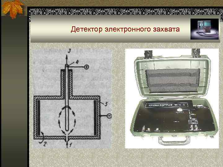 Детектор электронного захвата 