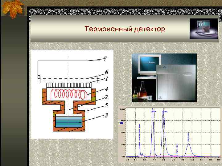 Термоионный детектор 