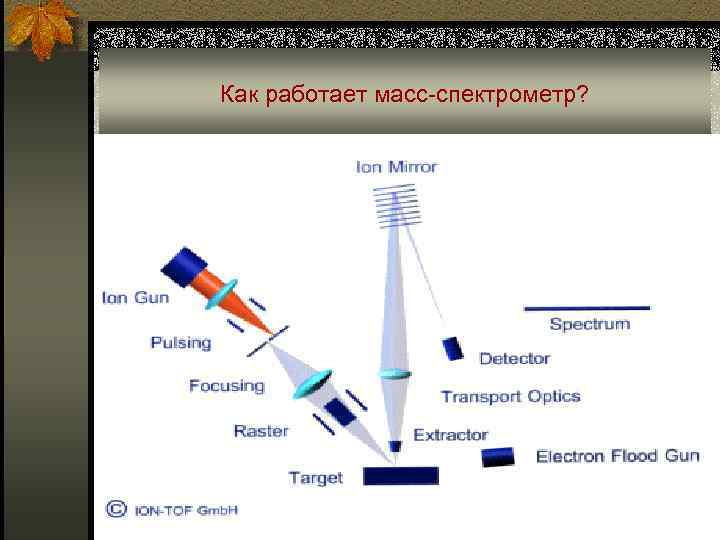 Как работает масс-спектрометр? 