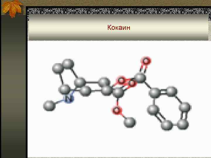 Кокаин 