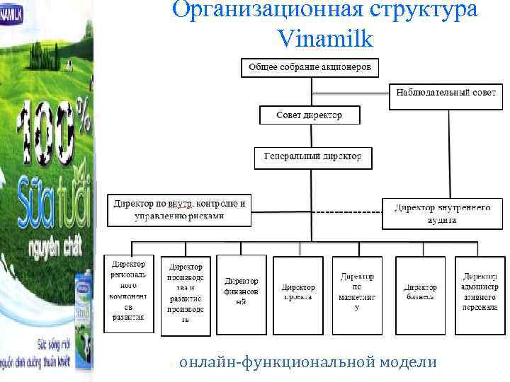 Организационная структура Vinamilk онлайн-функциональной модели 