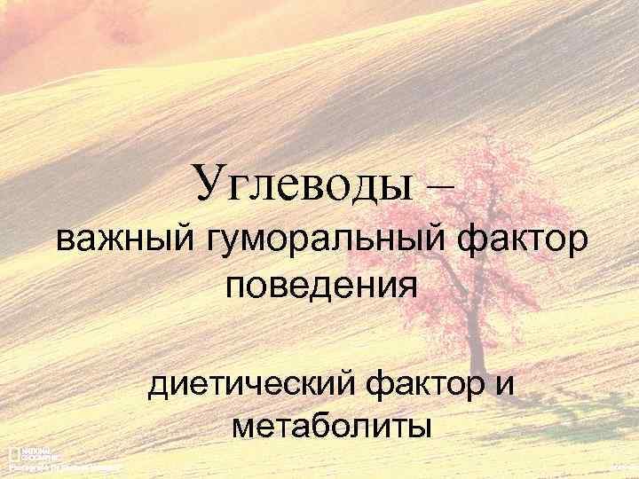 Углеводы – важный гуморальный фактор поведения диетический фактор и метаболиты 