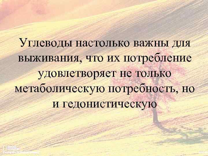 Углеводы настолько важны для выживания, что их потребление удовлетворяет не только метаболическую потребность, но