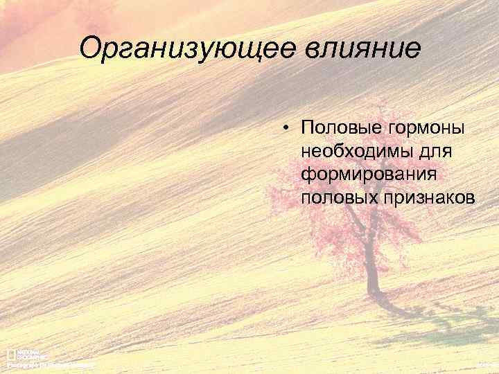 Организующее влияние • Половые гормоны необходимы для формирования половых признаков 