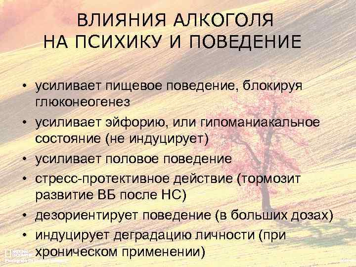 ВЛИЯНИЯ АЛКОГОЛЯ НА ПСИХИКУ И ПОВЕДЕНИЕ • усиливает пищевое поведение, блокируя глюконеогенез • усиливает