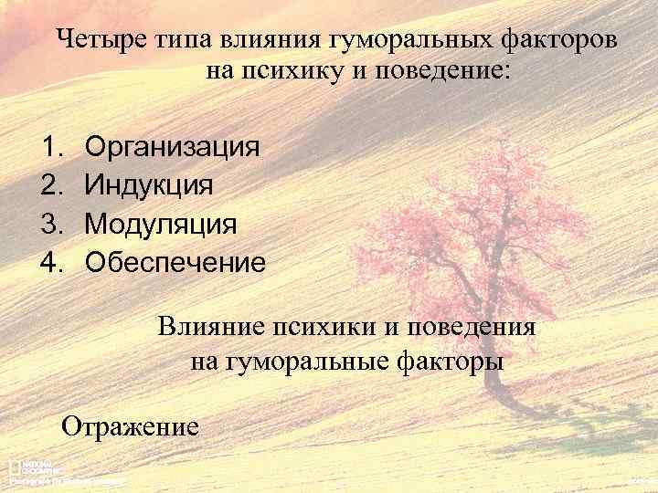 Четыре типа влияния гуморальных факторов на психику и поведение: 1. 2. 3. 4. Организация