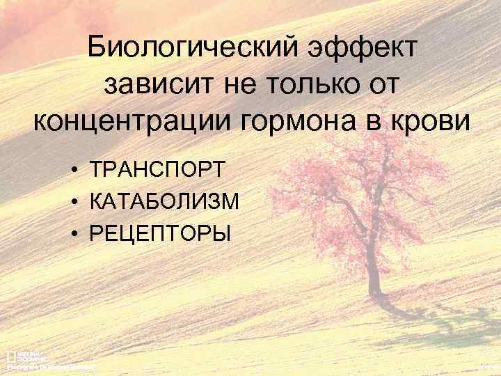 Биологический эффект зависит не только от концентрации гормона в крови • ТРАНСПОРТ • КАТАБОЛИЗМ