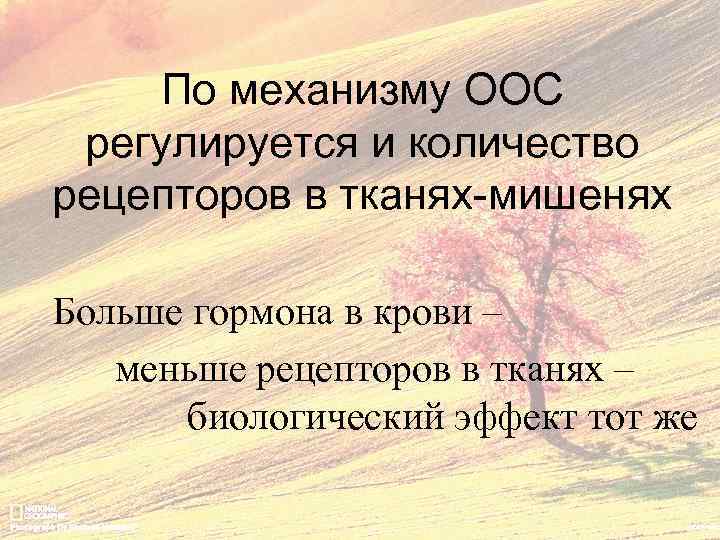 По механизму ООС регулируется и количество рецепторов в тканях-мишенях Больше гормона в крови –