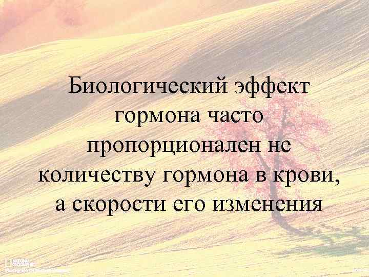 Биологический эффект гормона часто пропорционален не количеству гормона в крови, а скорости его изменения