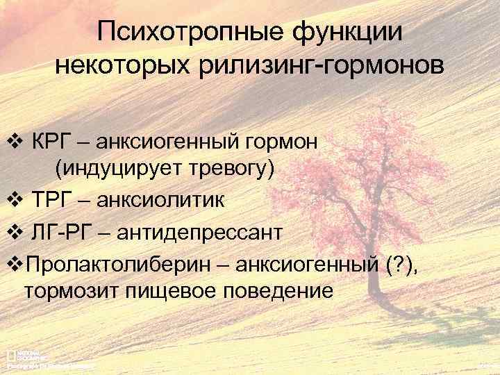 Психотропные функции некоторых рилизинг-гормонов v КРГ – анксиогенный гормон (индуцирует тревогу) v ТРГ –