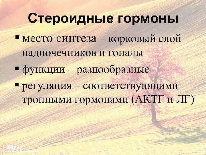 Стероидные гормоны § место синтеза – корковый слой надпочечников и гонады § функции –