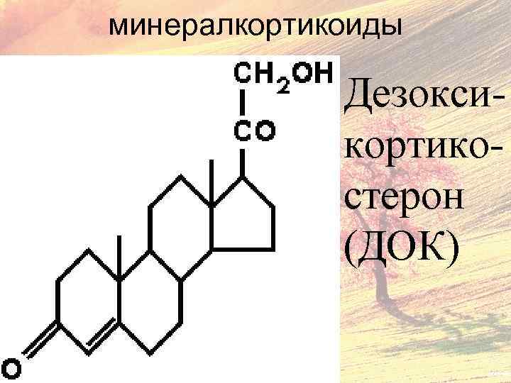 минералкортикоиды Дезоксикортикостерон (ДОК) 