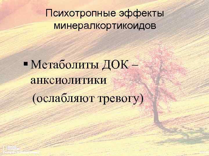 Психотропные эффекты минералкортикоидов § Метаболиты ДОК – анксиолитики (ослабляют тревогу) 