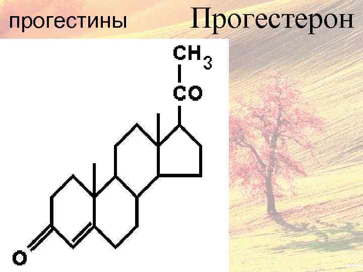 прогестины Прогестерон 