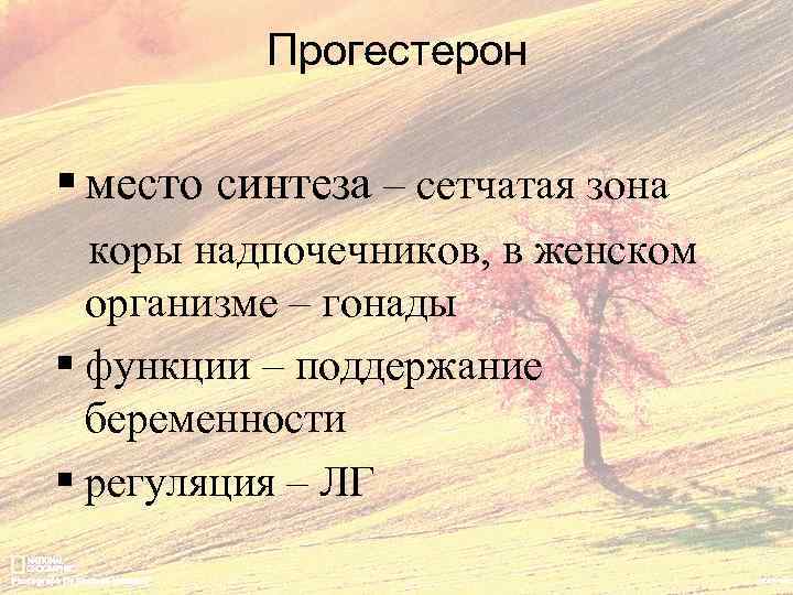 Прогестерон § место синтеза – сетчатая зона коры надпочечников, в женском организме – гонады