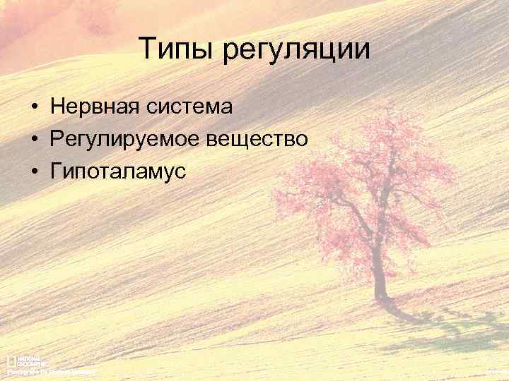 Типы регуляции • Нервная система • Регулируемое вещество • Гипоталамус 