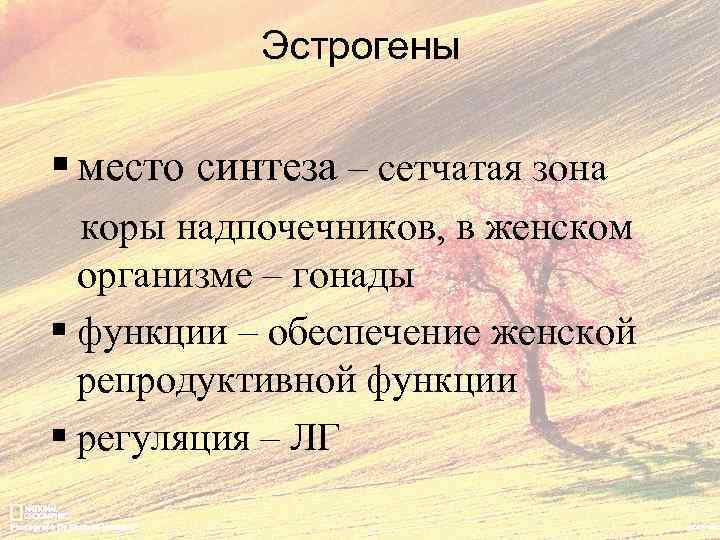 Эстрогены § место синтеза – сетчатая зона коры надпочечников, в женском организме – гонады