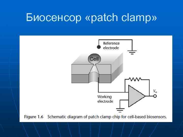 Биосенсор «patch clamp» 