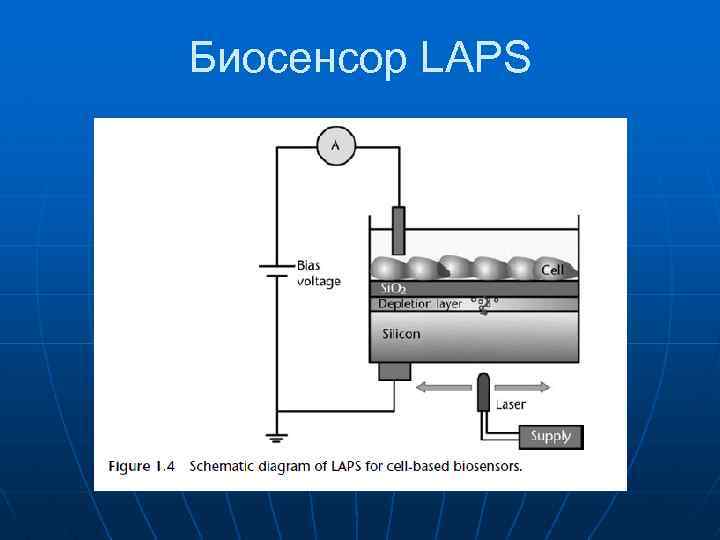 Биосенсор LAPS 