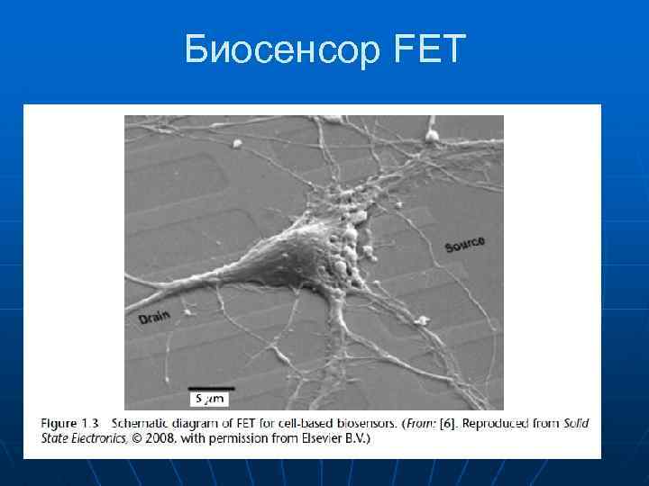 Биосенсор FET 