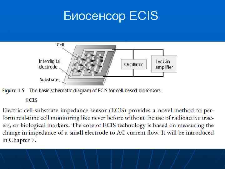 Биосенсор ECIS 