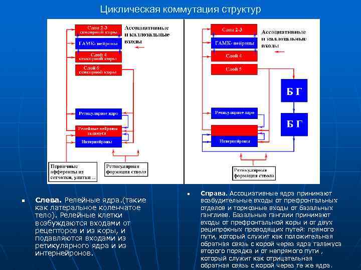  Циклическая коммутация структур n Справа. Ассоциативные ядра принимают n Слева. Релейные ядра. (такие