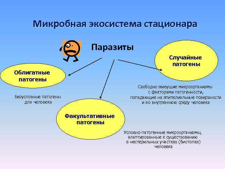 Микробная экосистема стационара Паразиты Случайные патогены Облигатные патогены Свободно-живущие микроорганизмы с факторами патогенности, попадающие