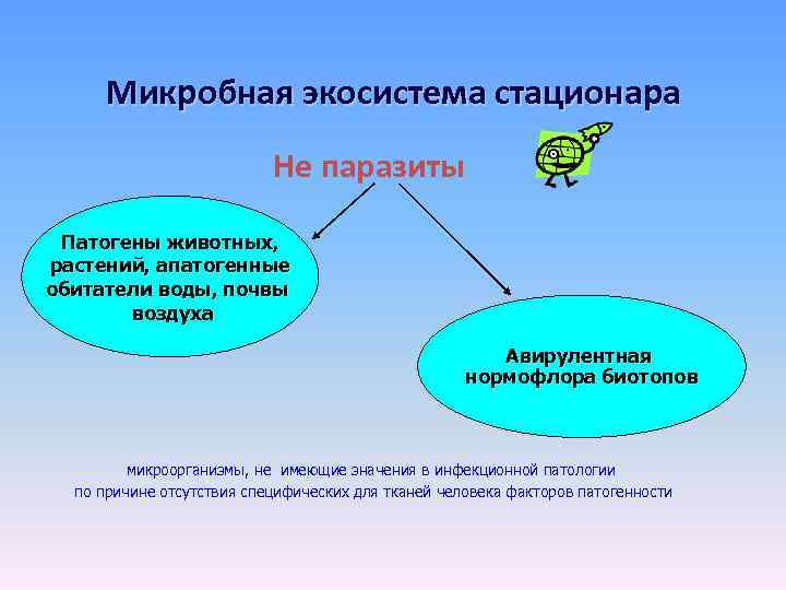 Микробная экосистема стационара Не паразиты Патогены животных, растений, апатогенные обитатели воды, почвы воздуха Авирулентная