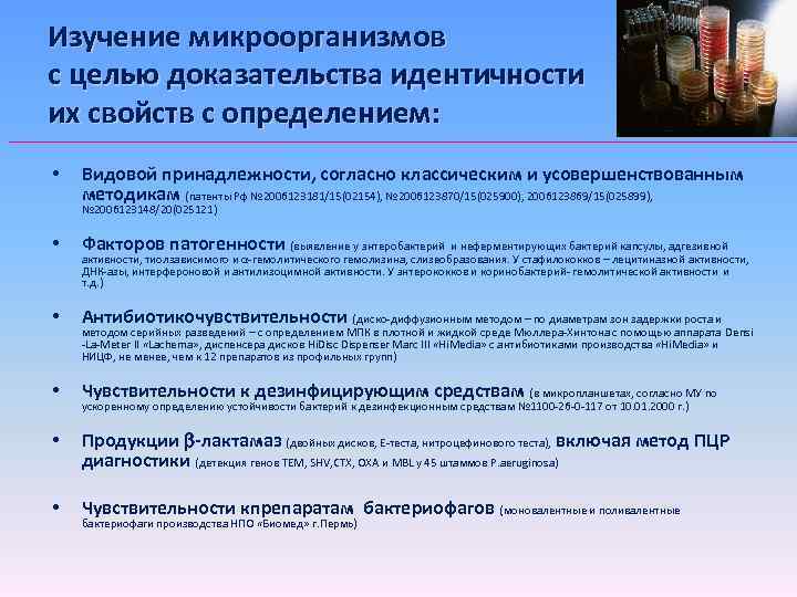 Изучение микроорганизмов с целью доказательства идентичности их свойств с определением: • Видовой принадлежности, согласно