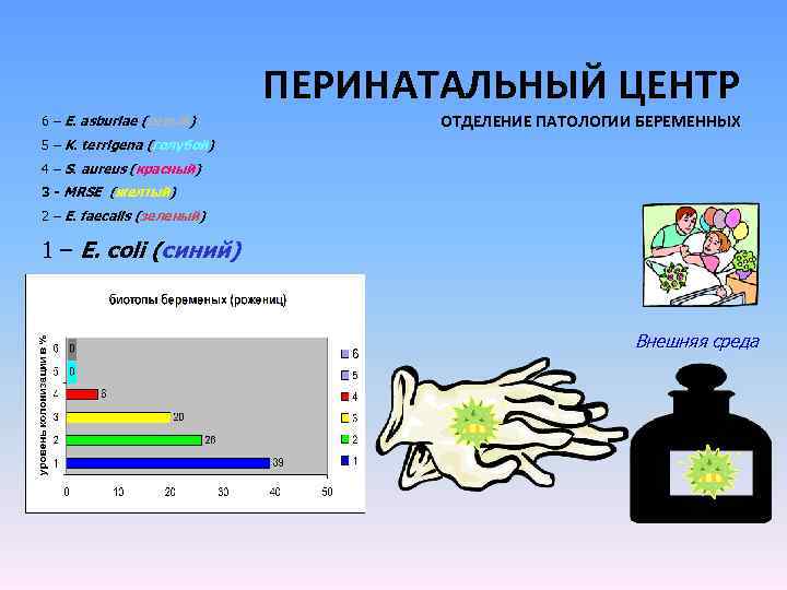 ПЕРИНАТАЛЬНЫЙ ЦЕНТР 6 – E. asburiae (серый) ОТДЕЛЕНИЕ ПАТОЛОГИИ БЕРЕМЕННЫХ 5 – K. terrigena