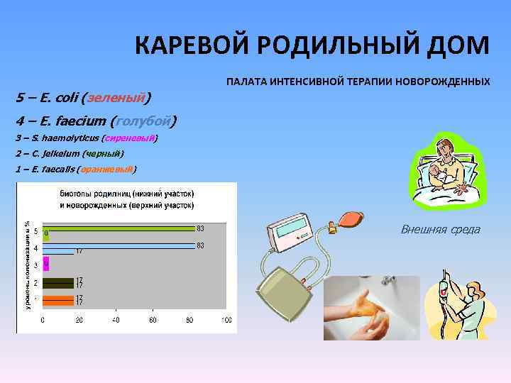КАРЕВОЙ РОДИЛЬНЫЙ ДОМ ПАЛАТА ИНТЕНСИВНОЙ ТЕРАПИИ НОВОРОЖДЕННЫХ 5 – E. coli (зеленый) 4 –