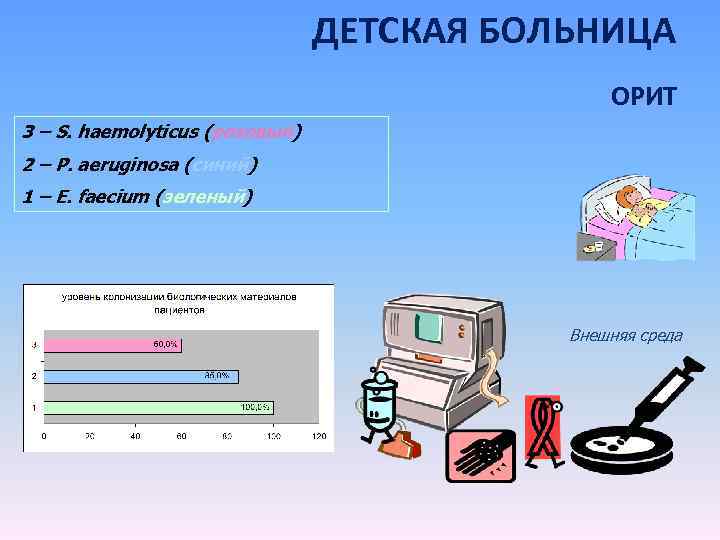 ДЕТСКАЯ БОЛЬНИЦА ОРИТ 3 – S. haemolyticus (розовый) 2 – P. aeruginosa (синий) 1