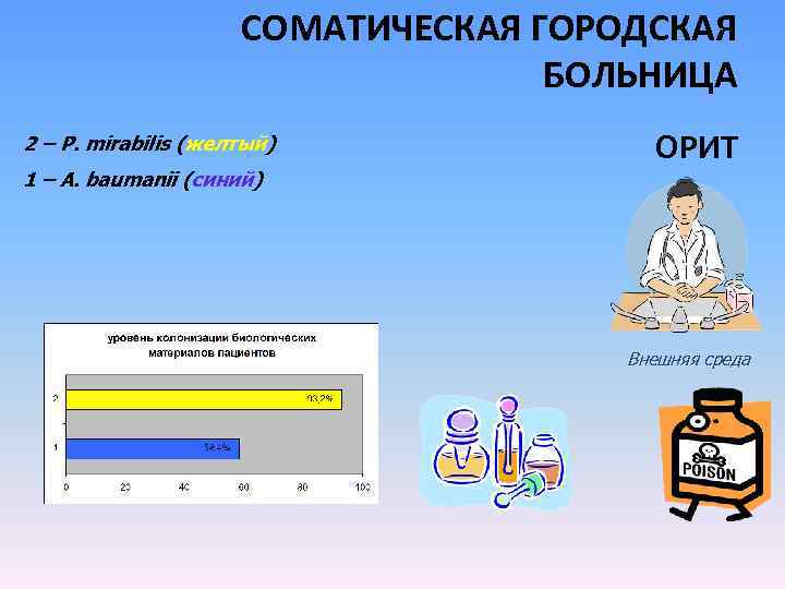 СОМАТИЧЕСКАЯ ГОРОДСКАЯ БОЛЬНИЦА 2 – Р. mirabilis (желтый) 1 – A. baumanii (синий) ОРИТ