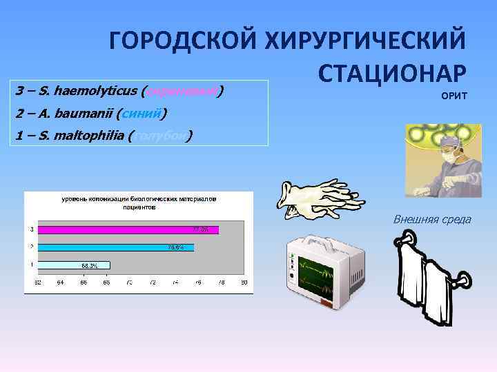 ГОРОДСКОЙ ХИРУРГИЧЕСКИЙ СТАЦИОНАР 3 – S. haemolyticus (сиреневый) ОРИТ 2 – A. baumanii (синий)