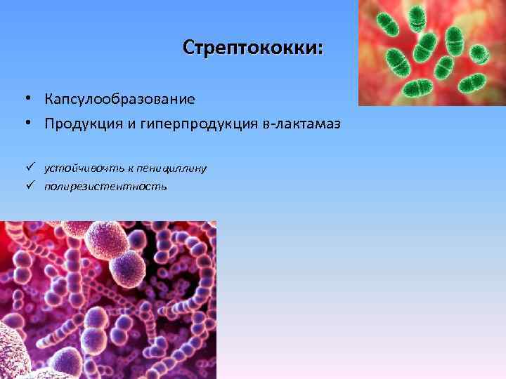 Стрептококки: • Капсулообразование • Продукция и гиперпродукция в-лактамаз ü устойчивочть к пенициллину ü полирезистентность