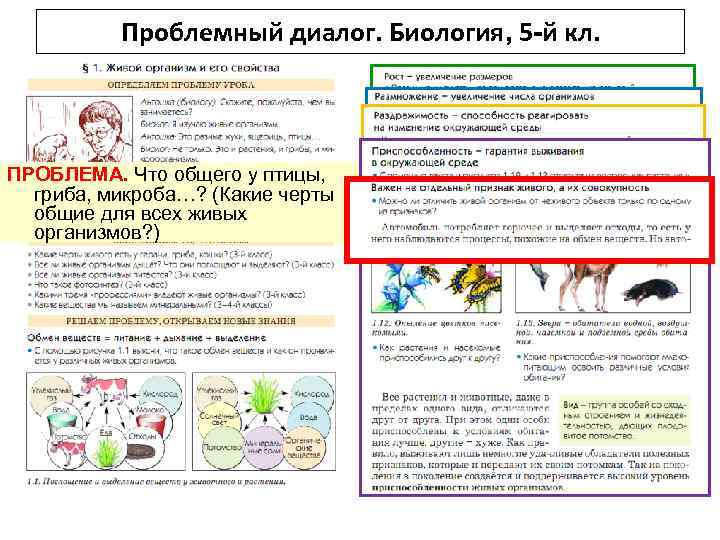 Проблемный диалог. Биология, 5 -й кл. ПРОБЛЕМА. Что общего у птицы, гриба, микроба…? (Какие