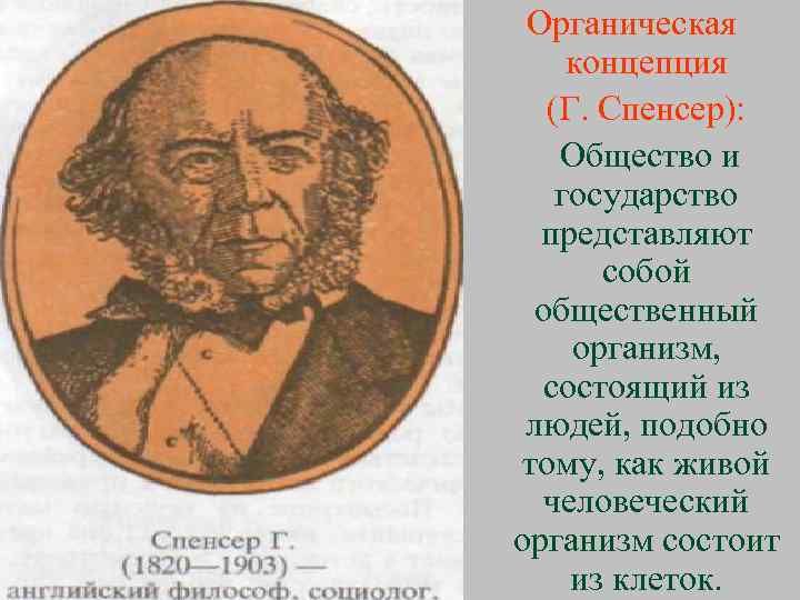 Органическая концепция (Г. Спенсер): Общество и государство представляют собой общественный организм, состоящий из людей,