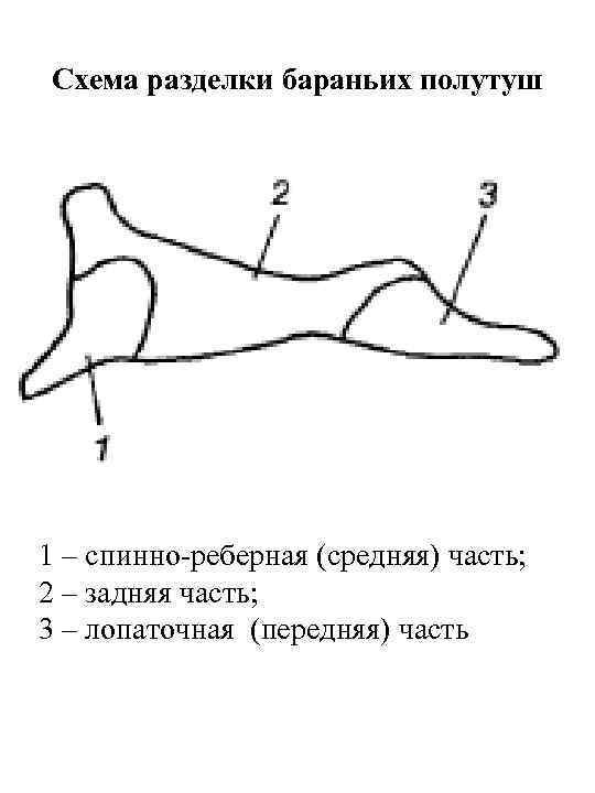 Схема разделки козлятины