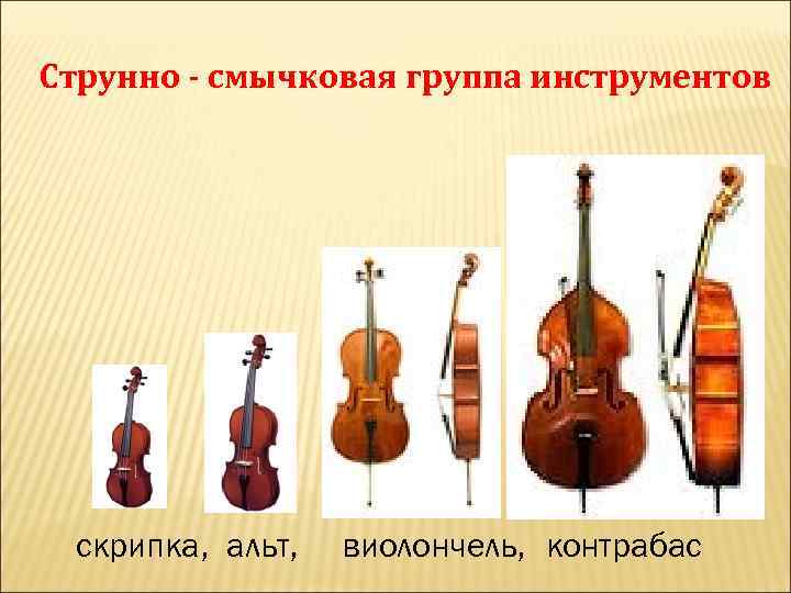 Струнно - смычковая группа инструментов скрипка, альт, виолончель, контрабас 